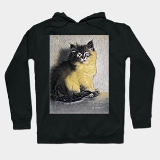 Persian Cat Hoodie